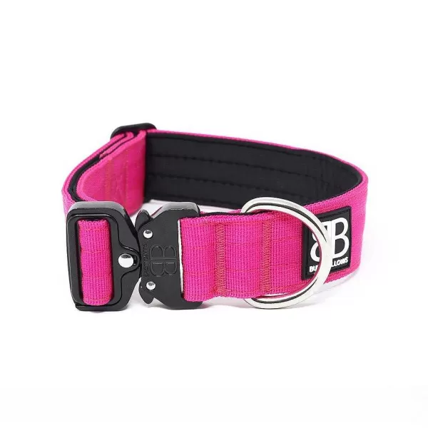 - 4Cm Combat Collar | BullyBillows Cheap