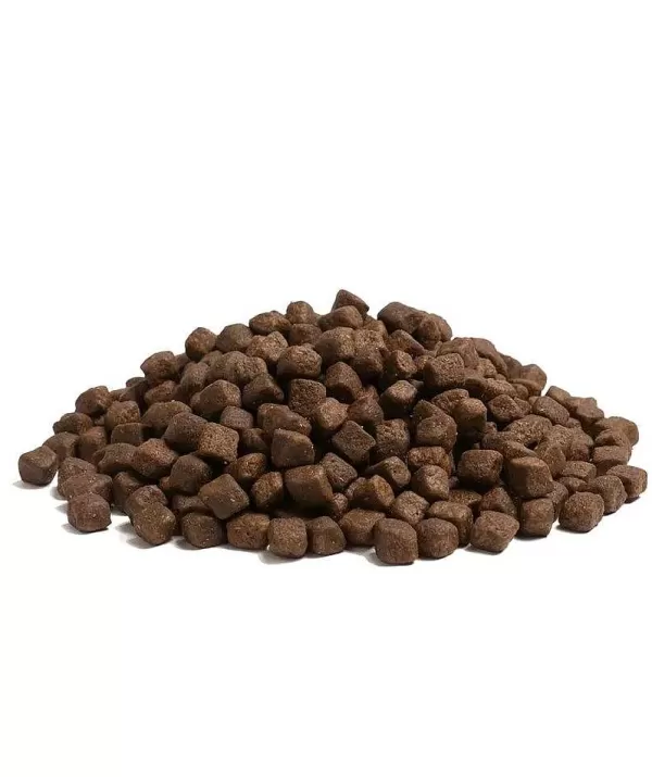 - The Beginning Small Breed | Essential Foods Best Sale