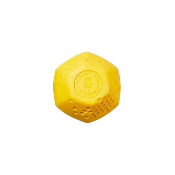 Project Hive Ball | The Dog Lounge New