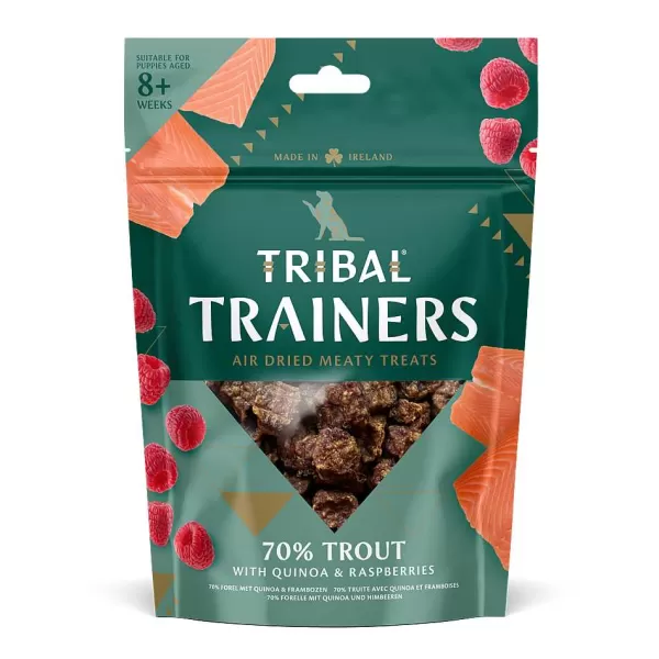 Trainers Forel & Framboos | Tribal Hot